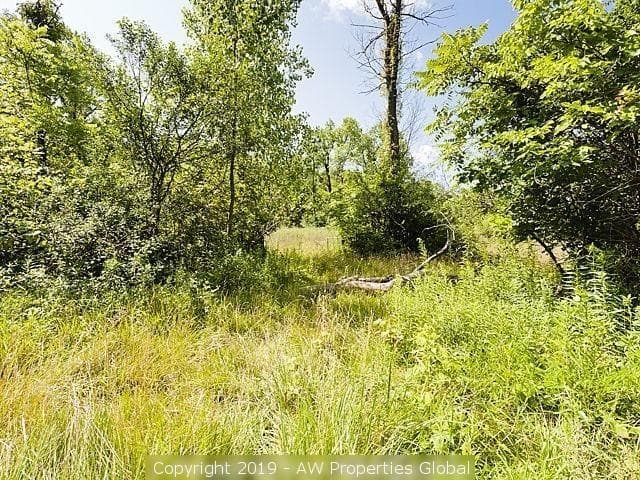 Court Ordered Sale: Single Family Home on 11 Acres in Lemont, photo 14