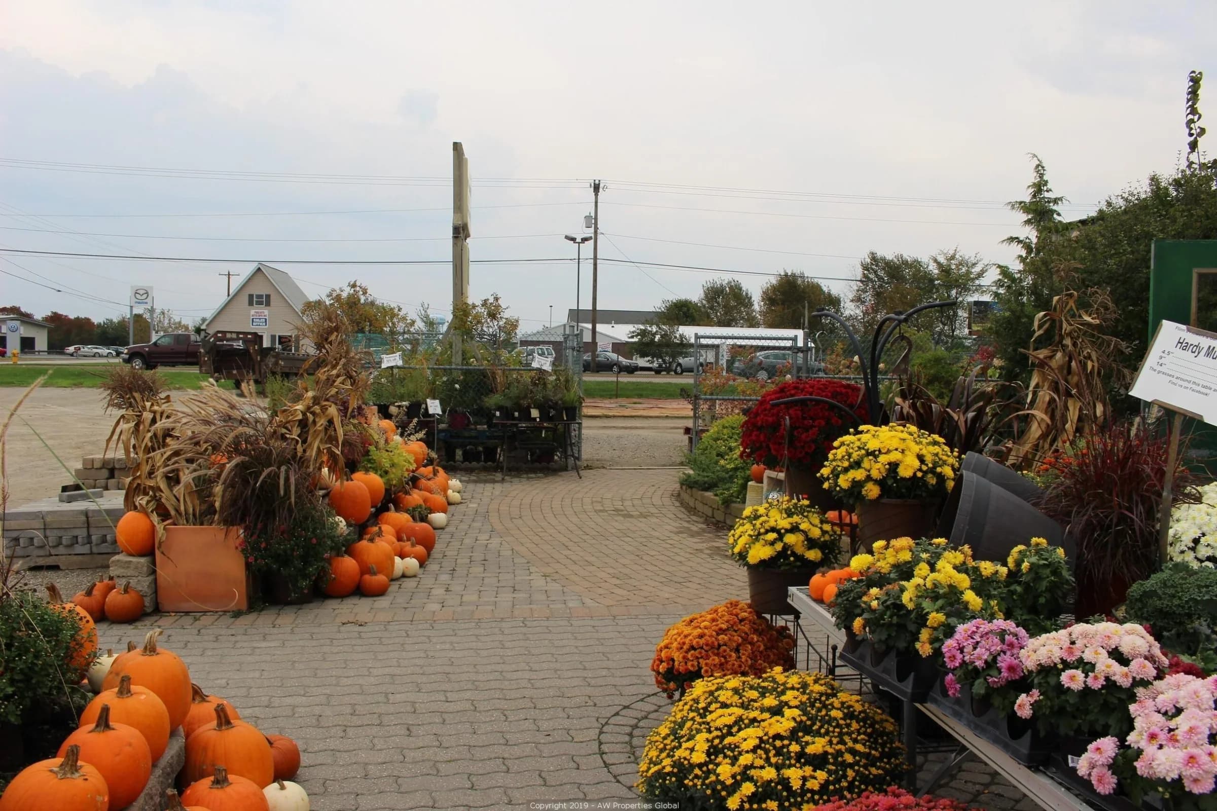 Approx. 3 Acres Commercial Zoned Land with 1 Building & 5 Greenhouses; Currently a Flower and Garden Center, photo 9