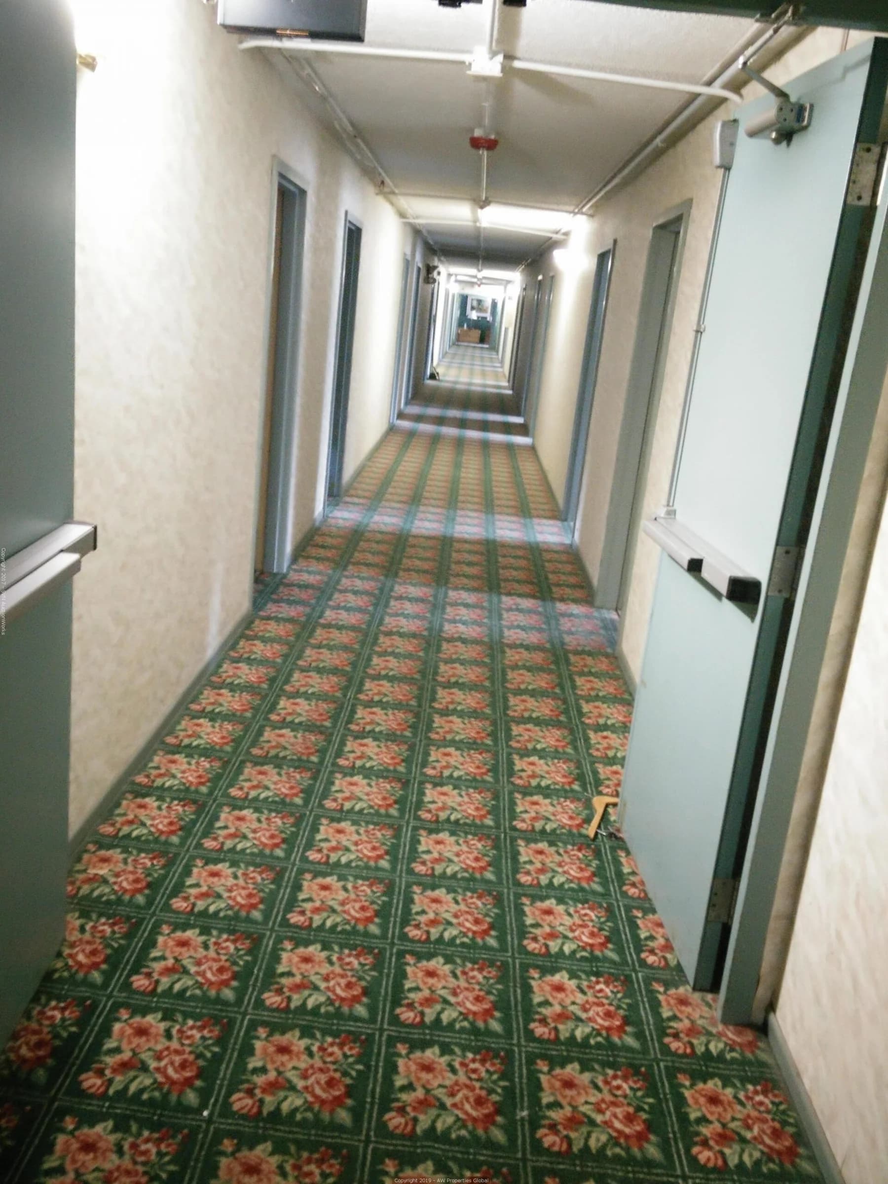 Grand Victoria Hotel in Freeport, IL, photo 22