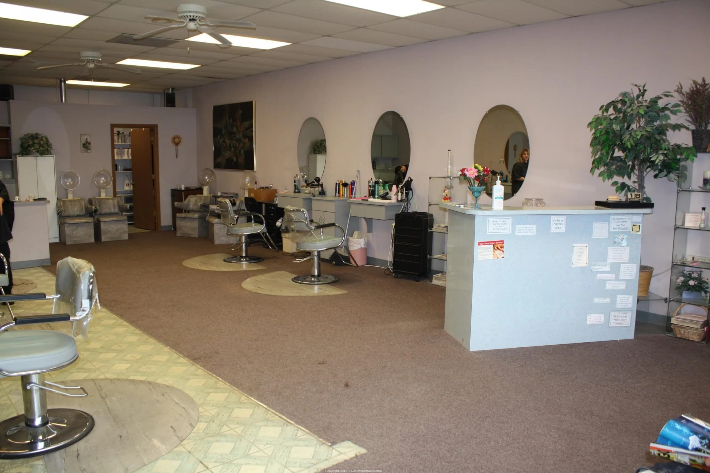Ridge Brook Plaza: Bank Owned Strip Center, photo 11