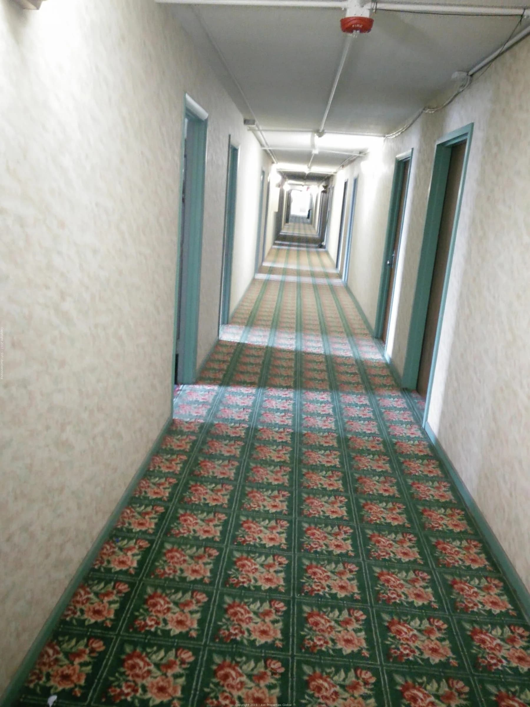 Grand Victoria Hotel in Freeport, IL, photo 63