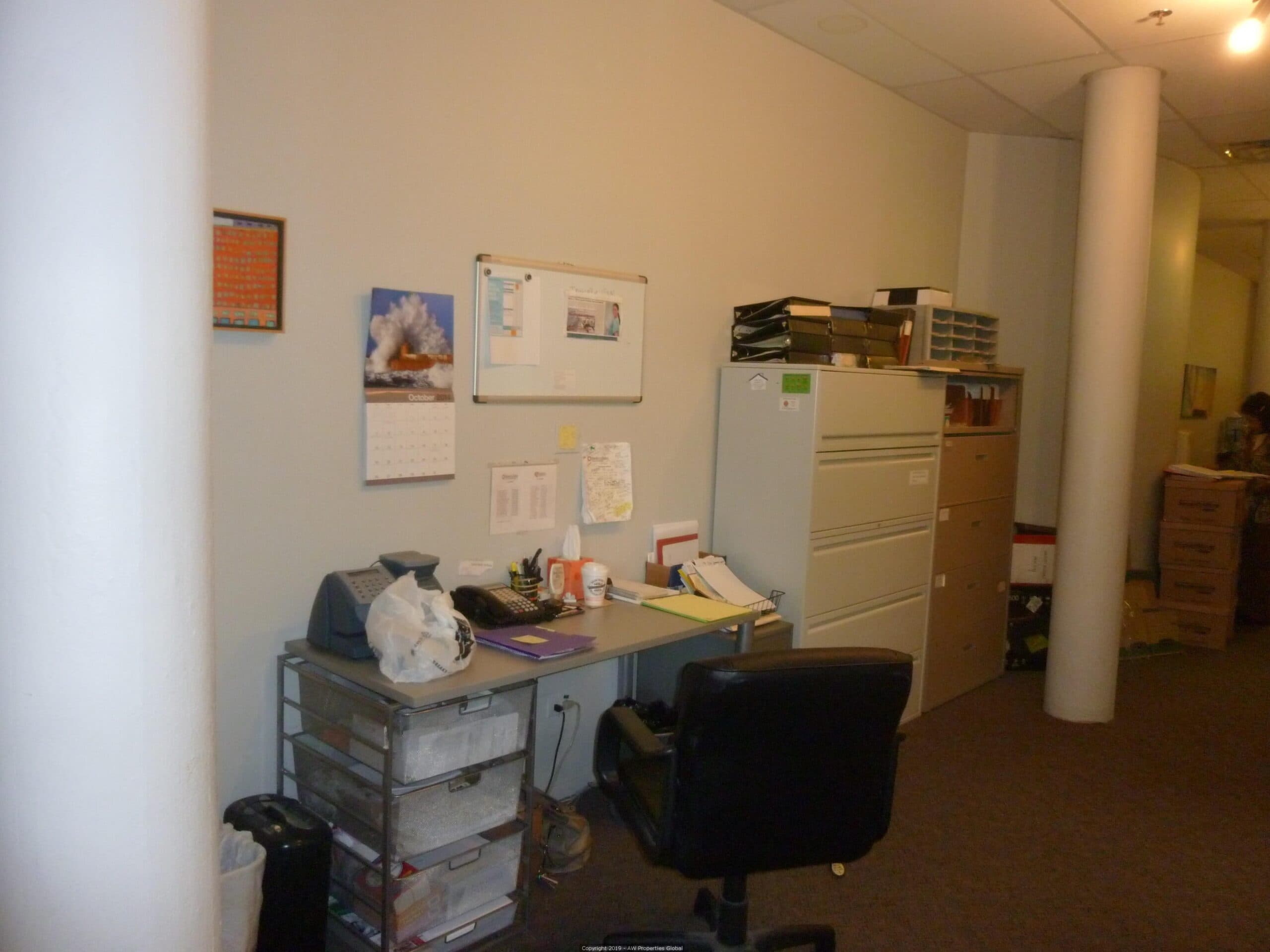 Bank-Owned Street Level Office Condo: 1133 South Wabash Avenue #C2, Chicago, photo 5