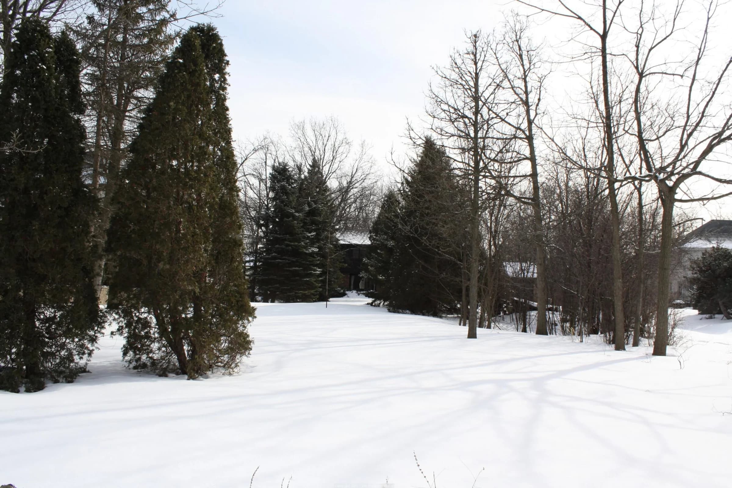 Northbrook Single Family on Nearly 1 Acre (District 225), photo 7