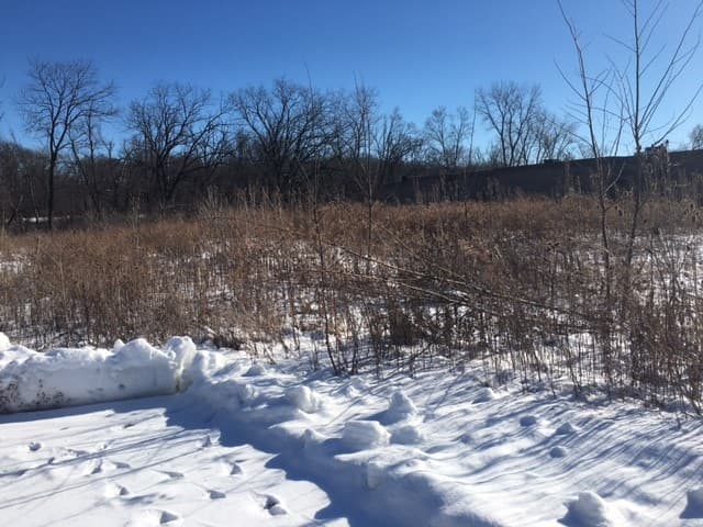 Approx. 1.15 Acres Commercial Land in Wheeling, IL, photo 4