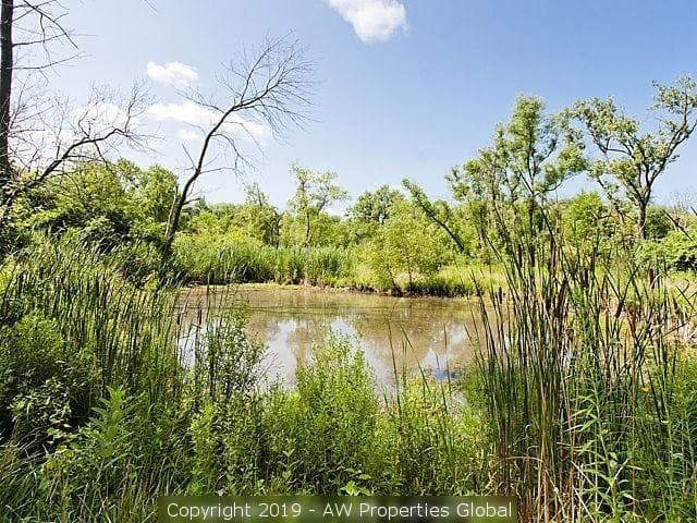 Court Ordered Sale: Single Family Home on 11 Acres in Lemont, photo 12