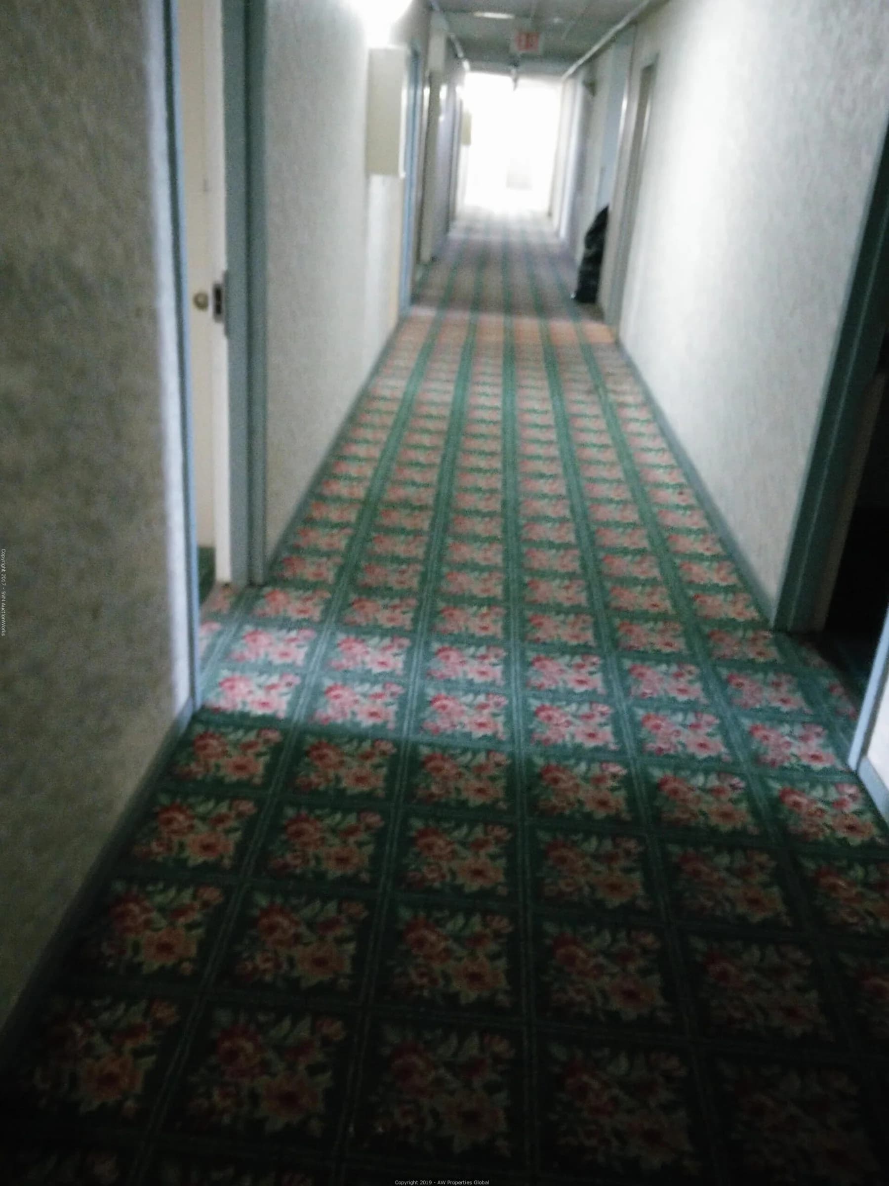 Grand Victoria Hotel in Freeport, IL, photo 23