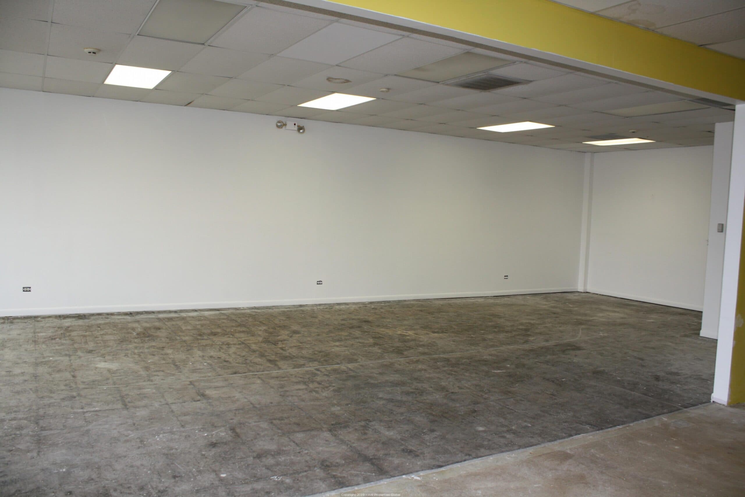 Ridge Brook Plaza: Bank Owned Strip Center, photo 21