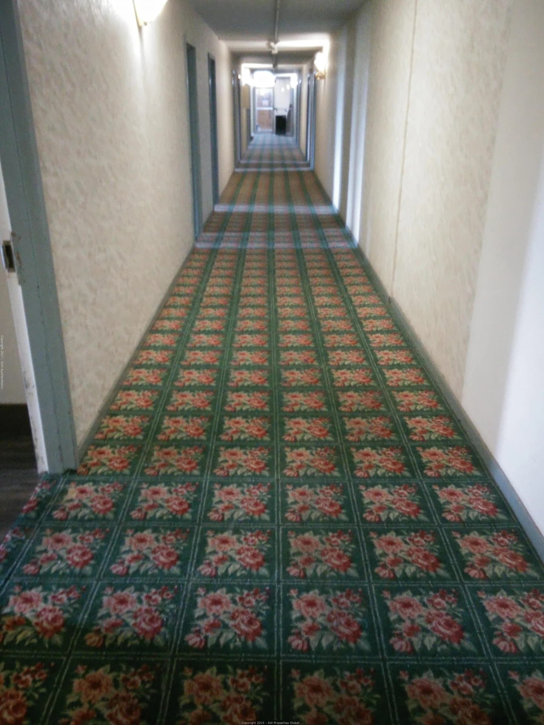 Grand Victoria Hotel in Freeport, IL, photo 69