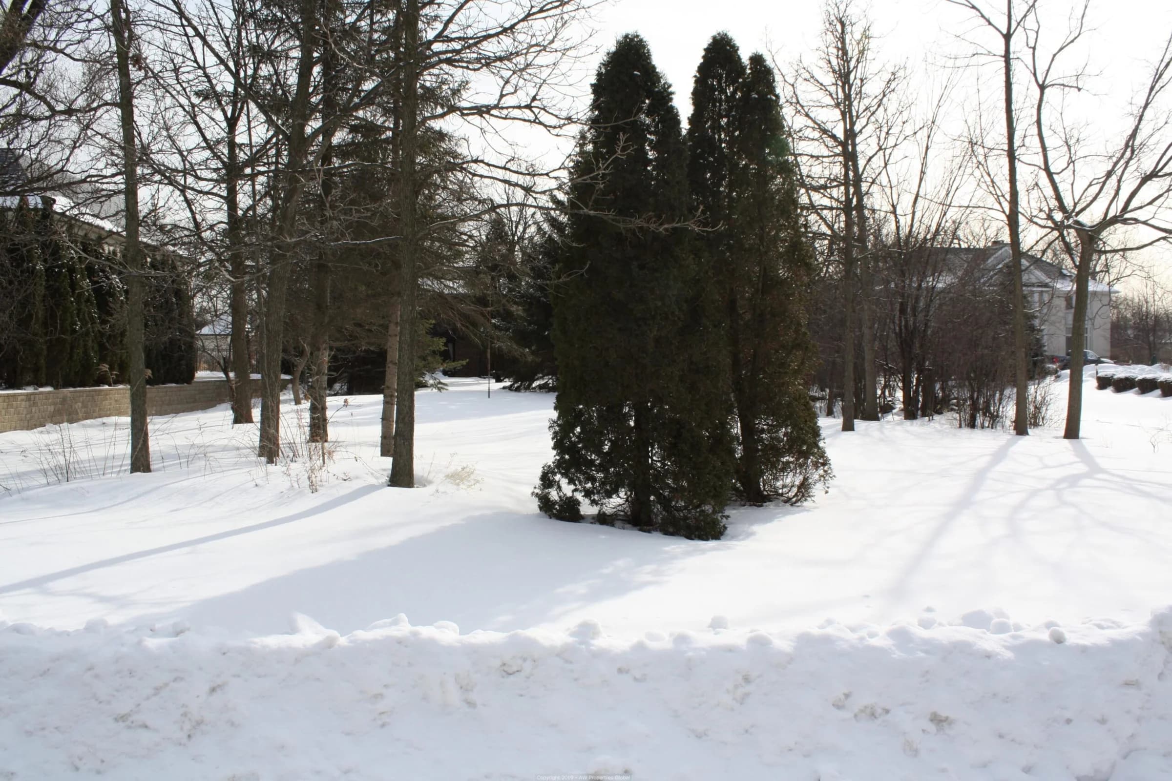 Northbrook Single Family on Nearly 1 Acre (District 225), photo 6