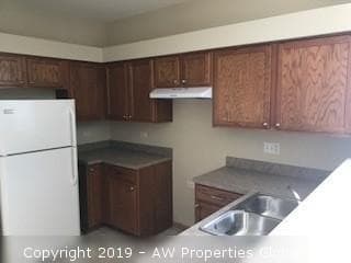 Town Home in Minooka, photo 3